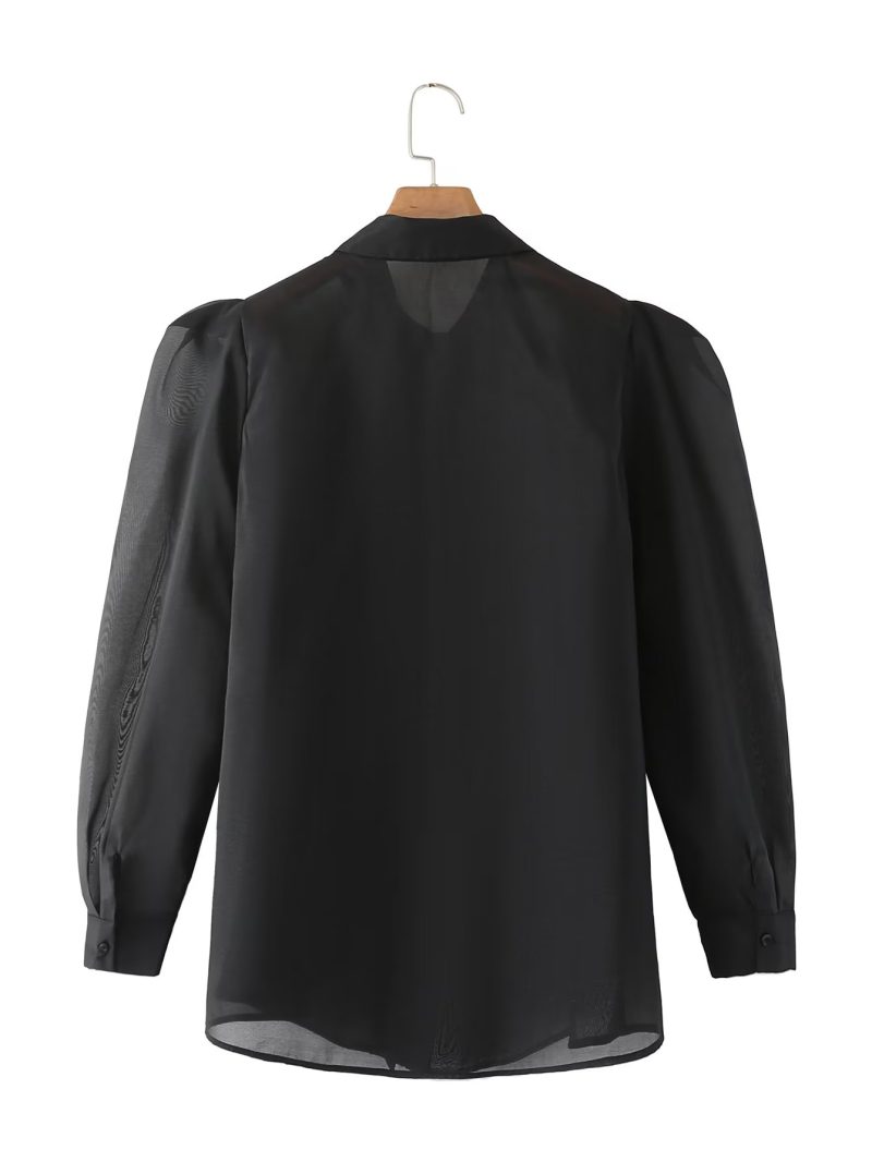 Spring Thin Type  Silk Chiffon Long Sleeved Shirt Transparent Mesh Black Top Women - Image 2