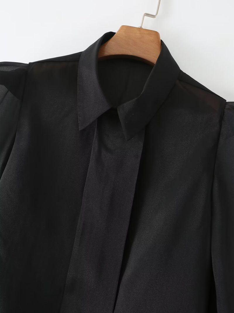 Spring Thin Type  Silk Chiffon Long Sleeved Shirt Transparent Mesh Black Top Women - Image 3