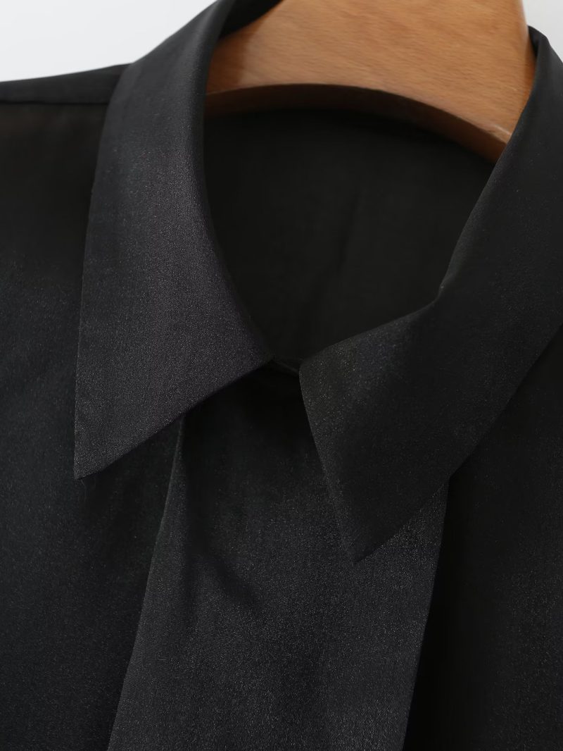 Spring Thin Type  Silk Chiffon Long Sleeved Shirt Transparent Mesh Black Top Women - Image 4