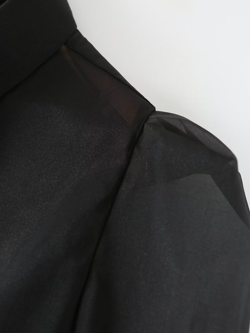 Spring Thin Type  Silk Chiffon Long Sleeved Shirt Transparent Mesh Black Top Women - Image 7