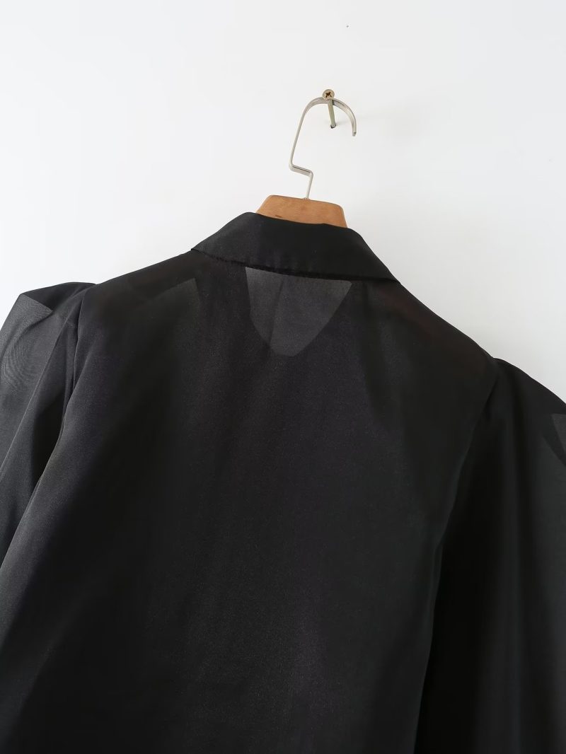 Spring Thin Type  Silk Chiffon Long Sleeved Shirt Transparent Mesh Black Top Women - Image 9