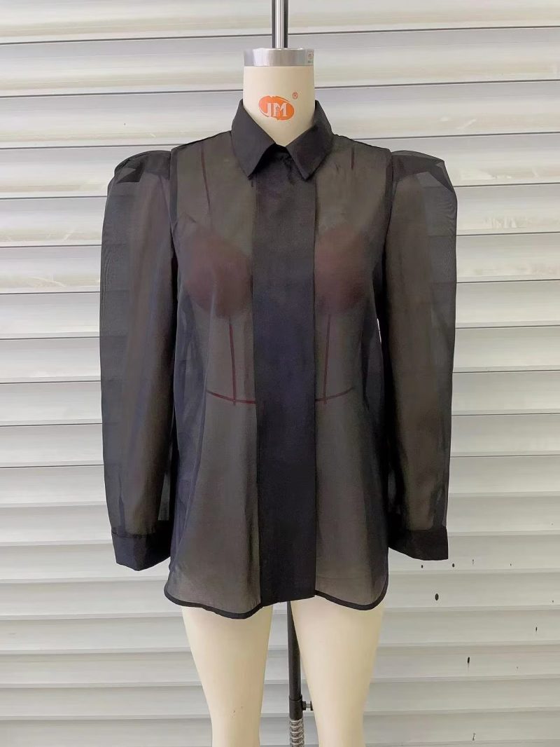 Spring Thin Type  Silk Chiffon Long Sleeved Shirt Transparent Mesh Black Top Women - Image 10