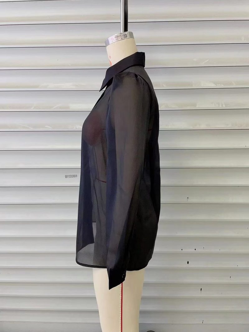 Spring Thin Type  Silk Chiffon Long Sleeved Shirt Transparent Mesh Black Top Women - Image 11