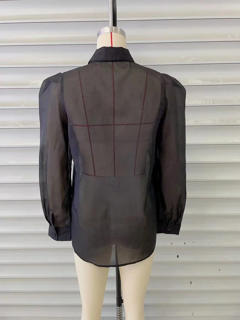 Spring Thin Type  Silk Chiffon Long Sleeved Shirt Transparent Mesh Black Top Women - Image 12