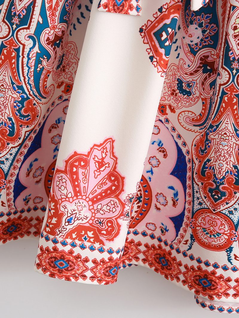 Spring Autumn New  Women  Clothing Fashion Long Sleeve V-Neck Positioning Print Dress - Image 3