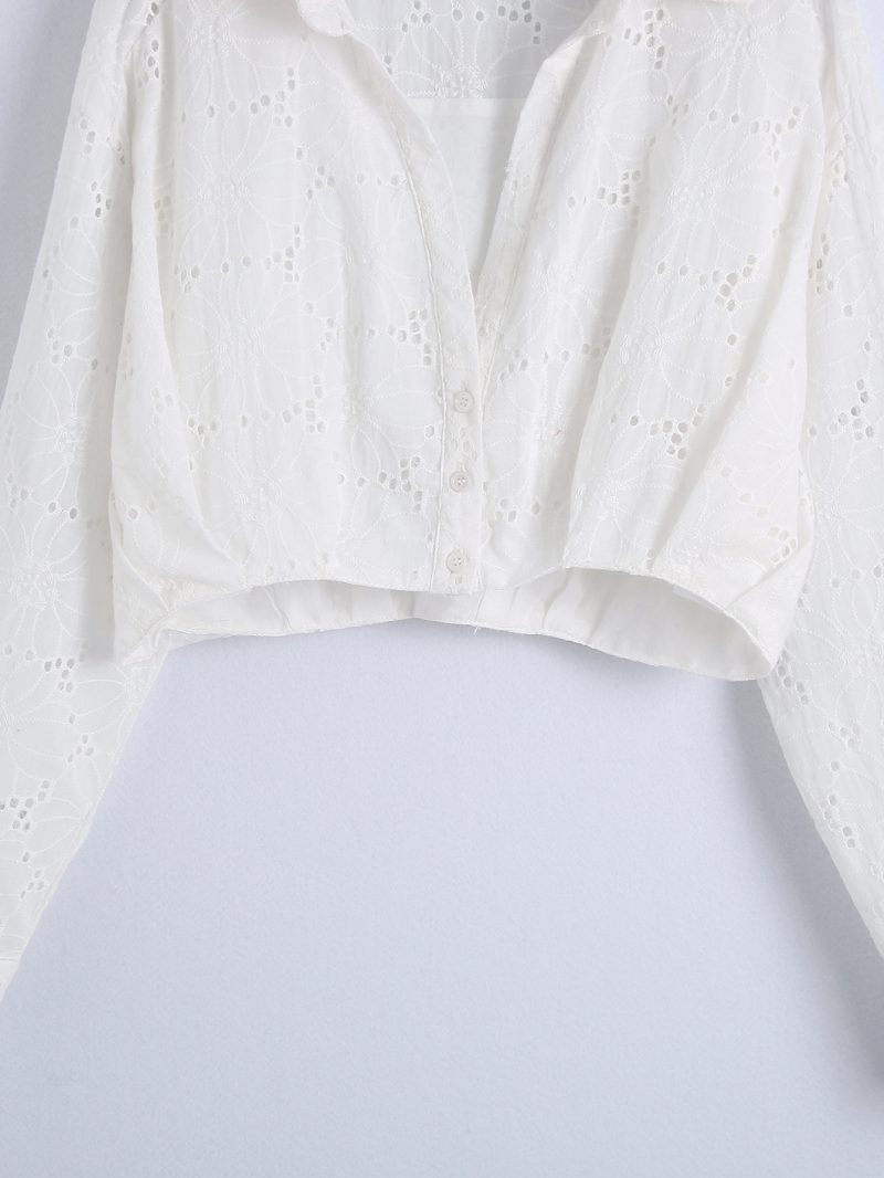 Spring Women Clothing Collared Long Sleeve Button Short Eyelet Embroidery Hollow Out Cutout Shirt Women - Image 6