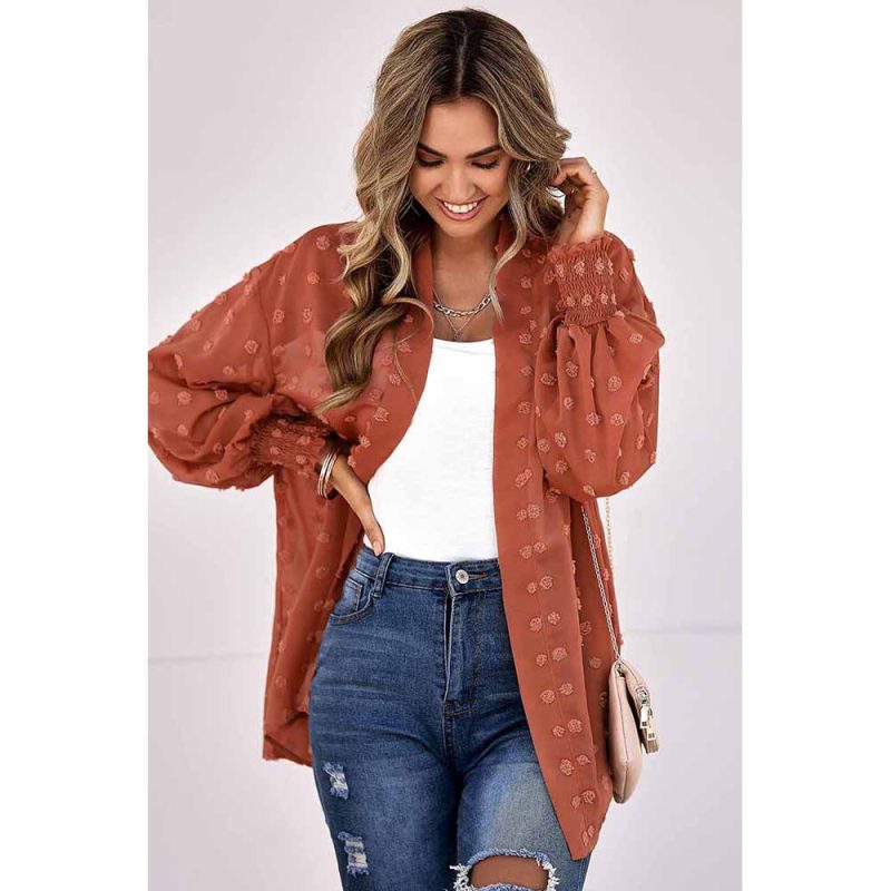 Autumn Tulle Sheer Long Sleeve Top Women Embroidered Thin - Image 4