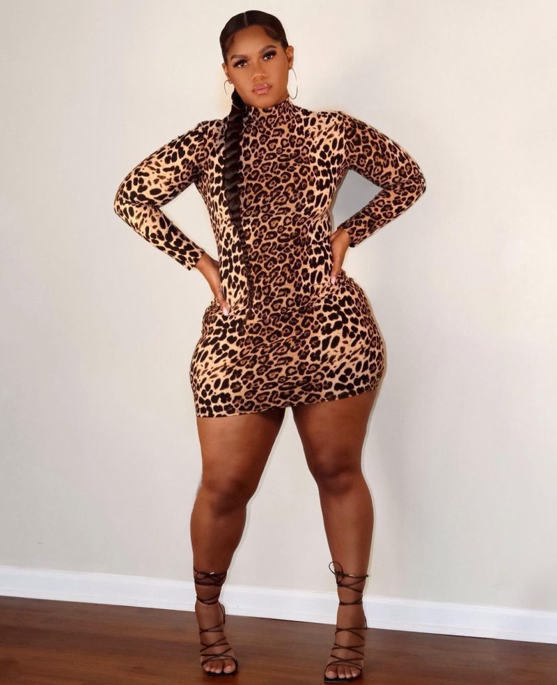 Plus Size Plus Size Women Clothing Women Clothing New Early Autumn Leopard Print Dress