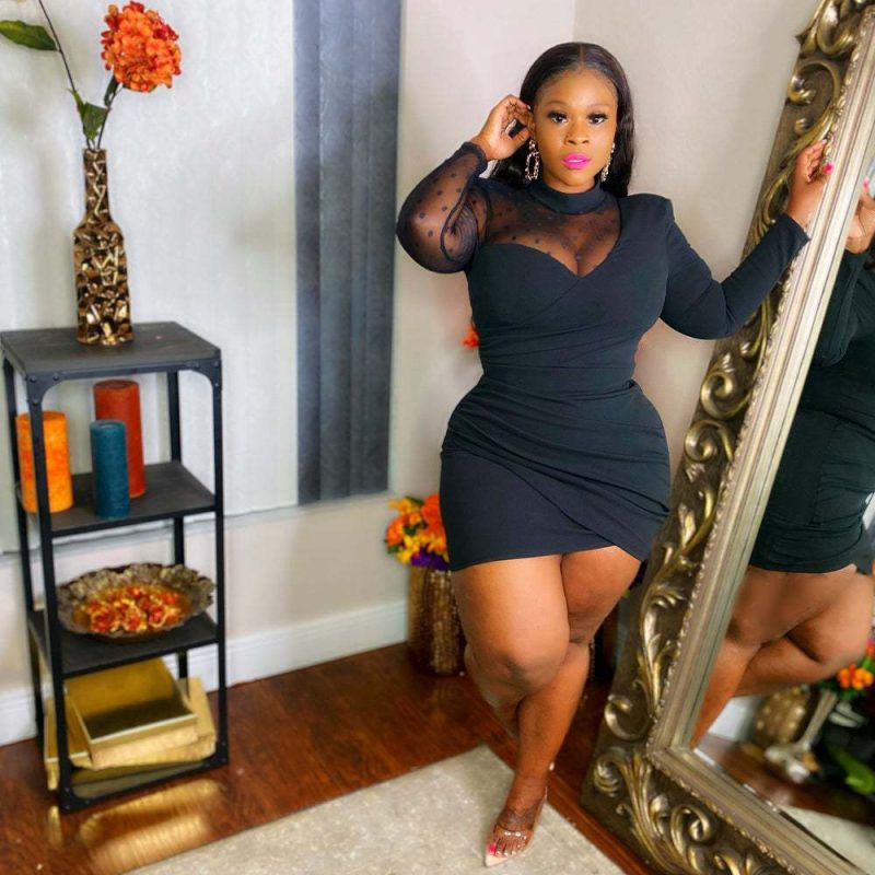 Plus Size Plus Size Sexy Half Turtleneck See-through Irregular Asymmetric Sheath Dress for Women - Image 3