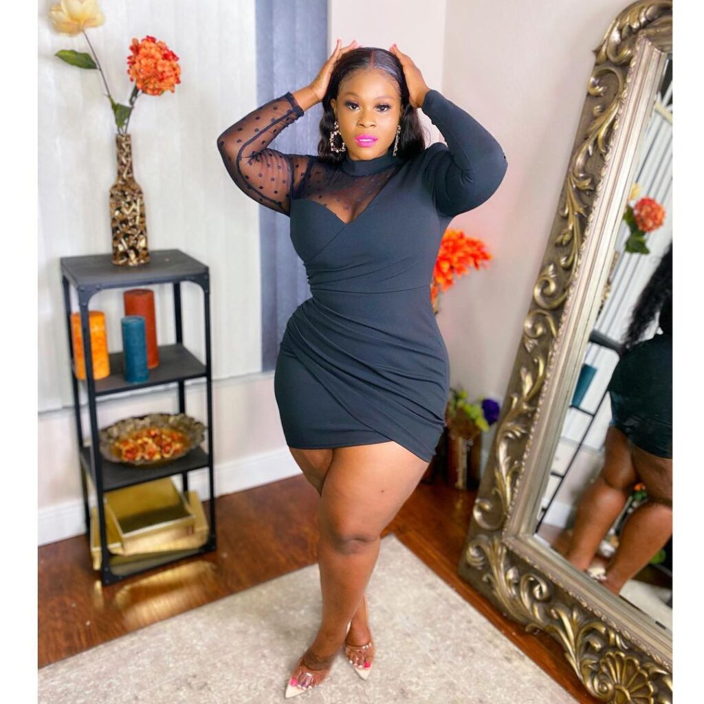 Plus Size Plus Size Sexy Half Turtleneck See-through Irregular Asymmetric Sheath Dress for Women - Image 4