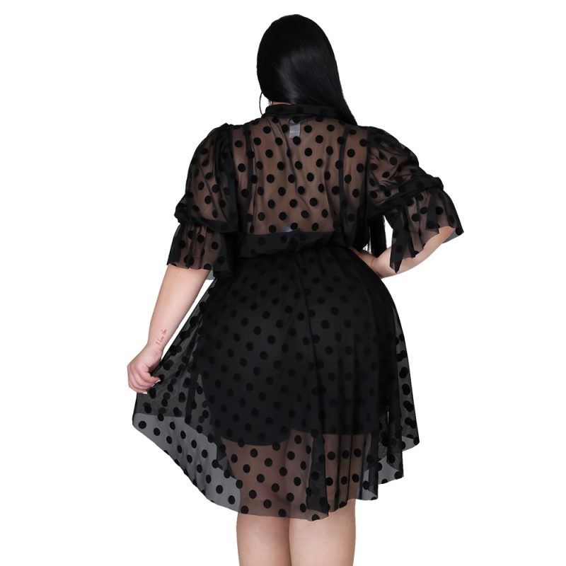 Plus Size Summer Dot Mesh See-through Dress Women - Image 5
