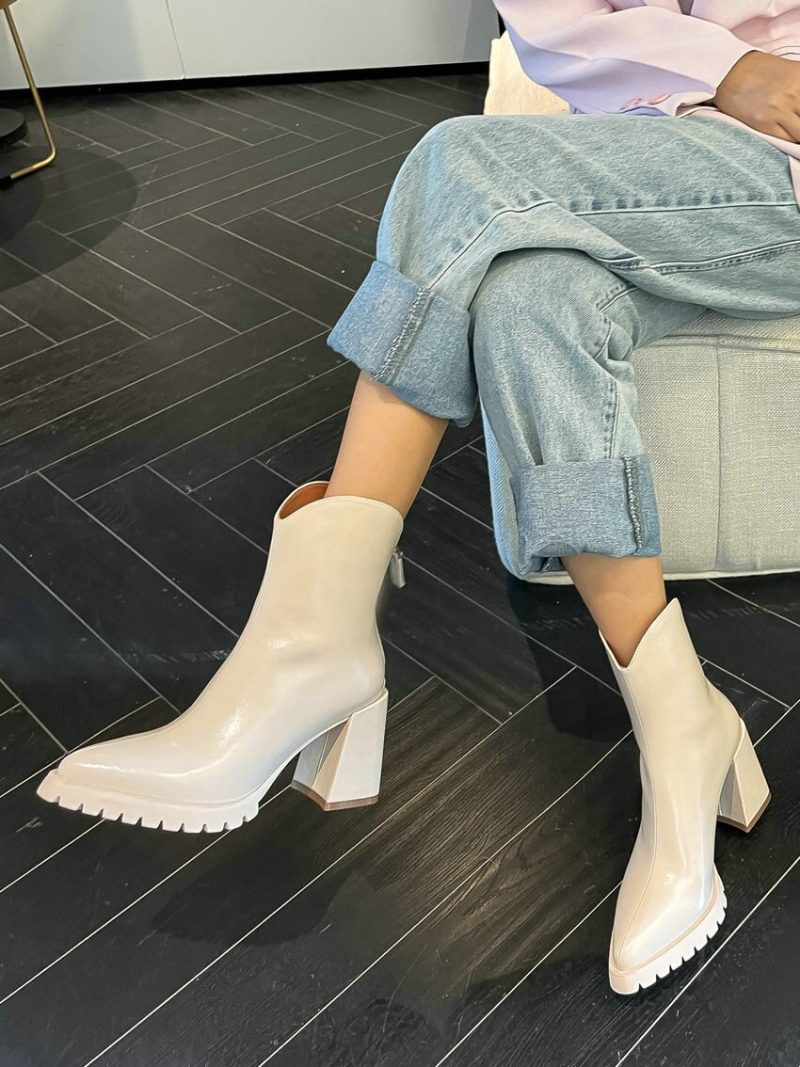 Vanessas 2023 Pointed Toe Thick High Heels Women Ankle Boots - Image 5