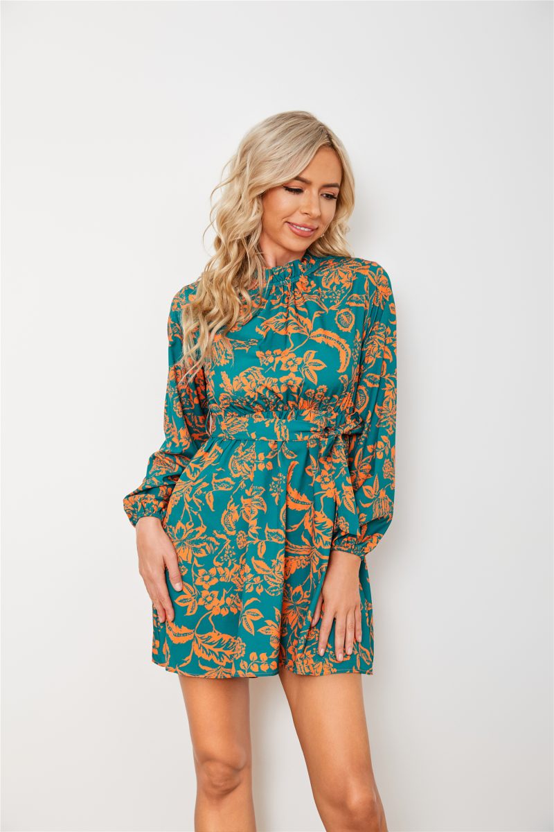 Printed Long Sleeve Waist Dress