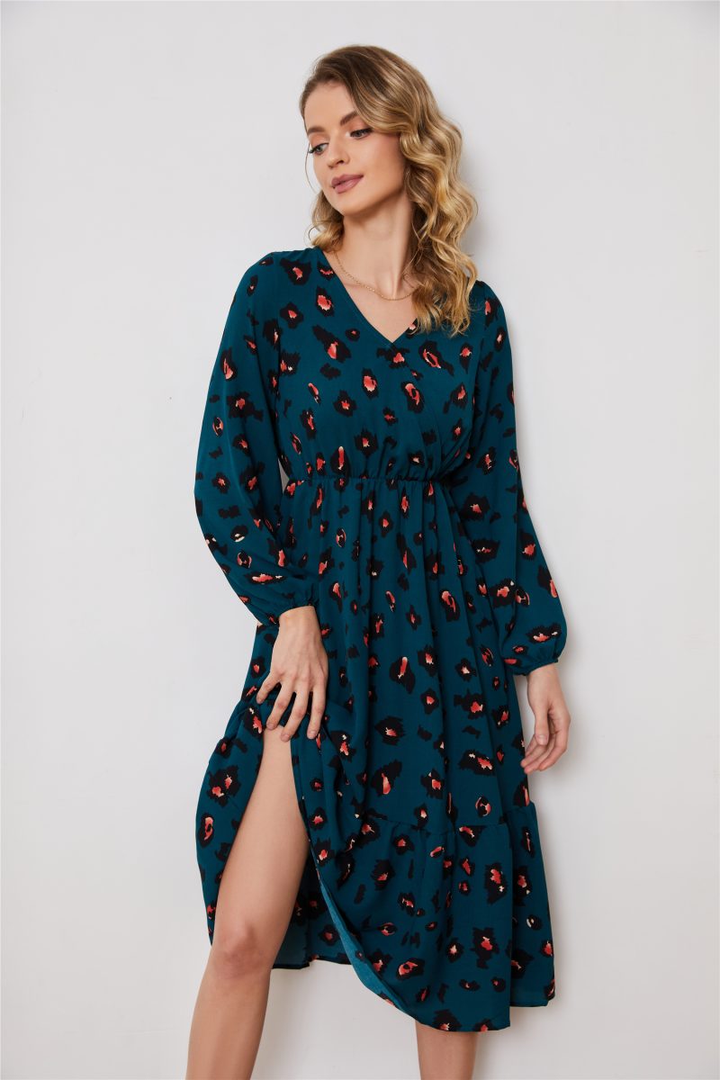 Long Sleeve V-Neck Printed Dress