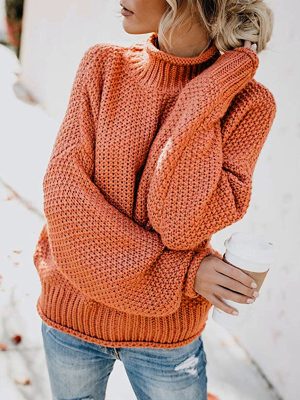 Autumn Winter Thick Thread Turtleneck Pullover