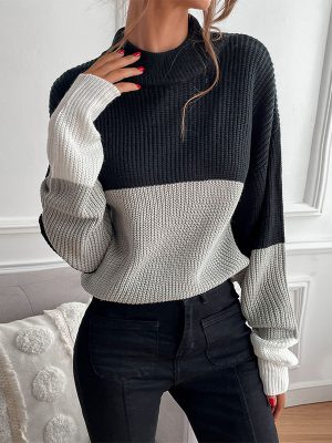 Color Matching Turtleneck Sweater