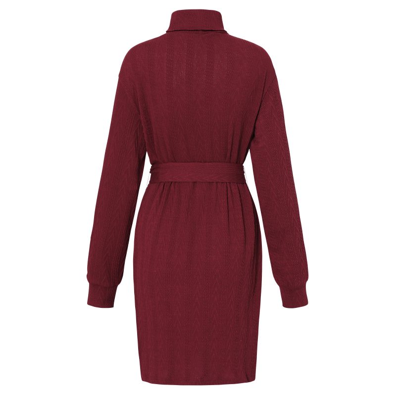 Embroidered Thermal Turtleneck Sheath Dress - Image 7