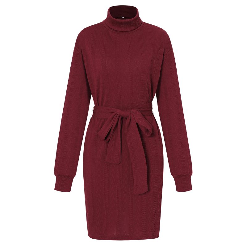 Embroidered Thermal Turtleneck Sheath Dress - Image 6
