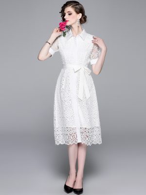 Elegant Lace Cut-Out A-Line Dress | New Style