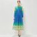 Gradient Design Swing Dress