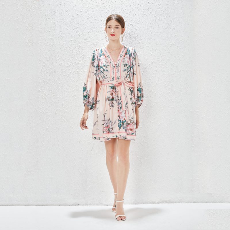 Lantern Sleeve V-Neck Print Dress | Spring, Summer, Autumn - Image 5