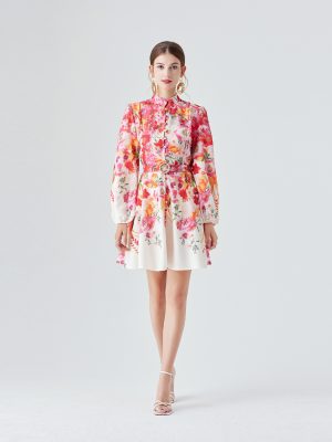 Lantern Sleeve Printed Dress