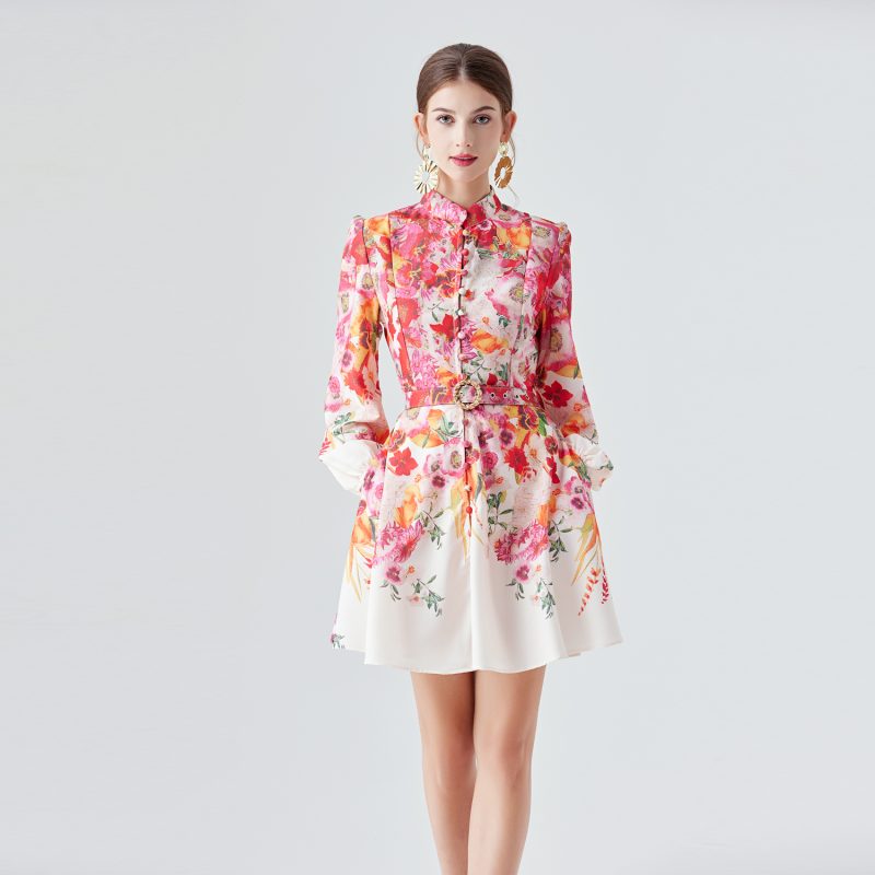 Lantern Sleeve Printed Dress - Image 2
