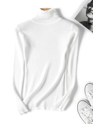 Turtleneck Slim Fit Knit Sweater