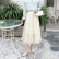 Butterfly Mesh Fairy Skirt: Spring Elegance