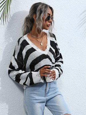 Zebra Pattern V-Neck Sweater – Autumn Knit Base