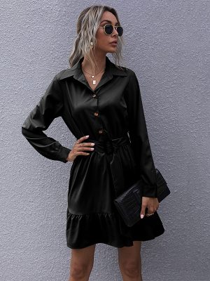 French Black Collared Shirt Dress – Early Autumn