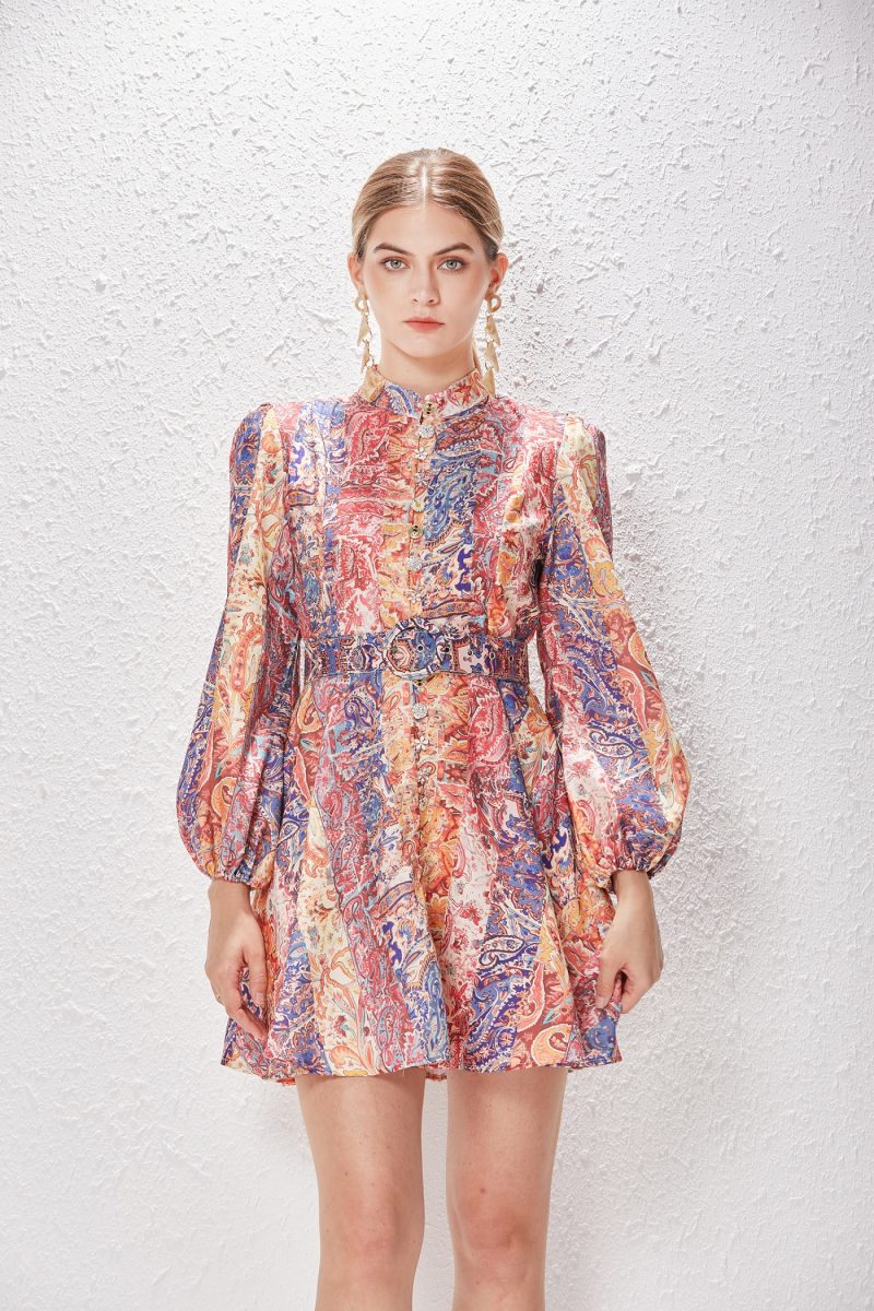 Vintage Printed A-Line Dress with Lantern Sleeves - Image 5
