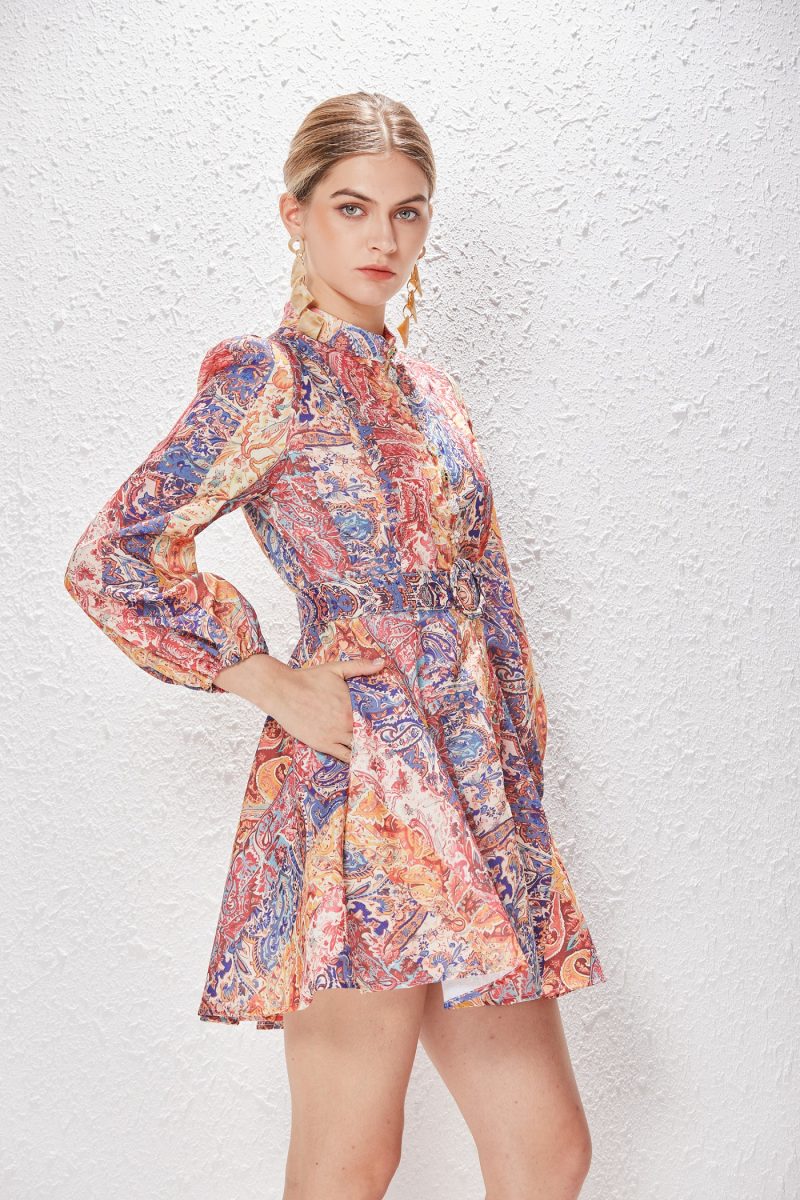 Vintage Printed A-Line Dress with Lantern Sleeves - Image 6