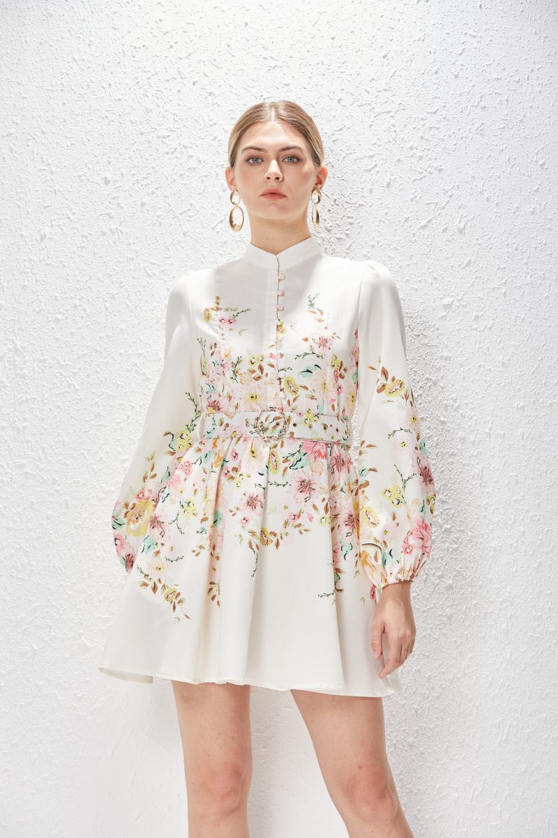 Printed Lantern Sleeve Dress for Spring & Summer - Image 2