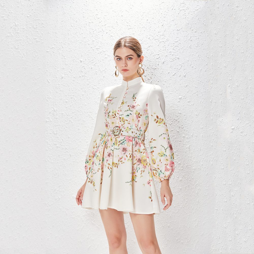 Printed Lantern Sleeve Dress for Spring & Summer - Image 3