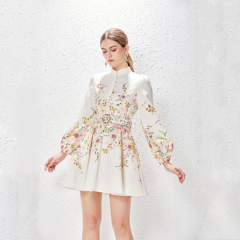 Printed Lantern Sleeve Dress for Spring & Summer - Image 4