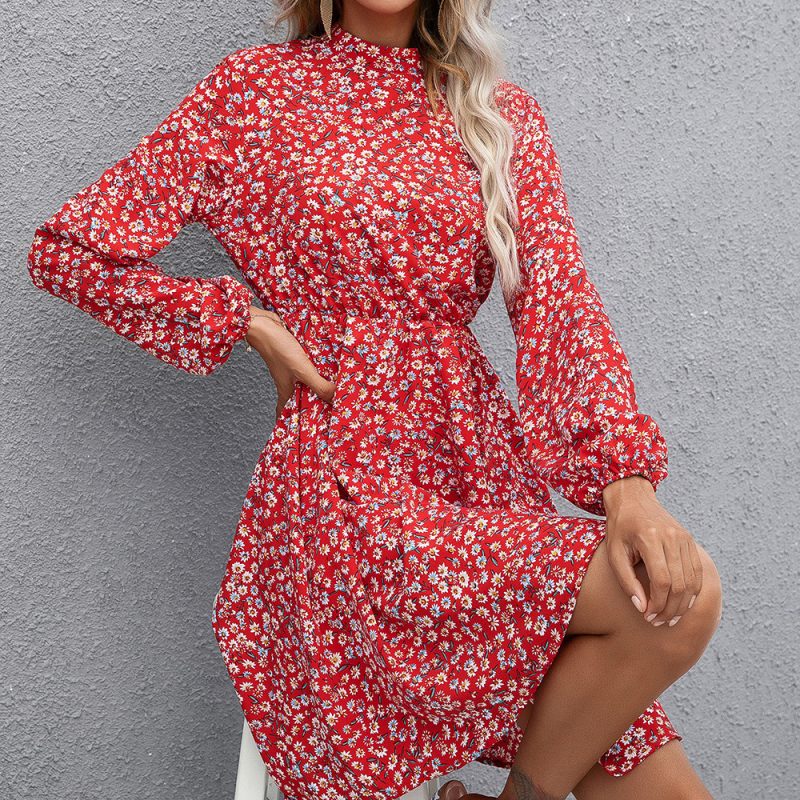 Floral Printed Long Sleeve High Round Neck Pullover Dress for Women - Image 3
