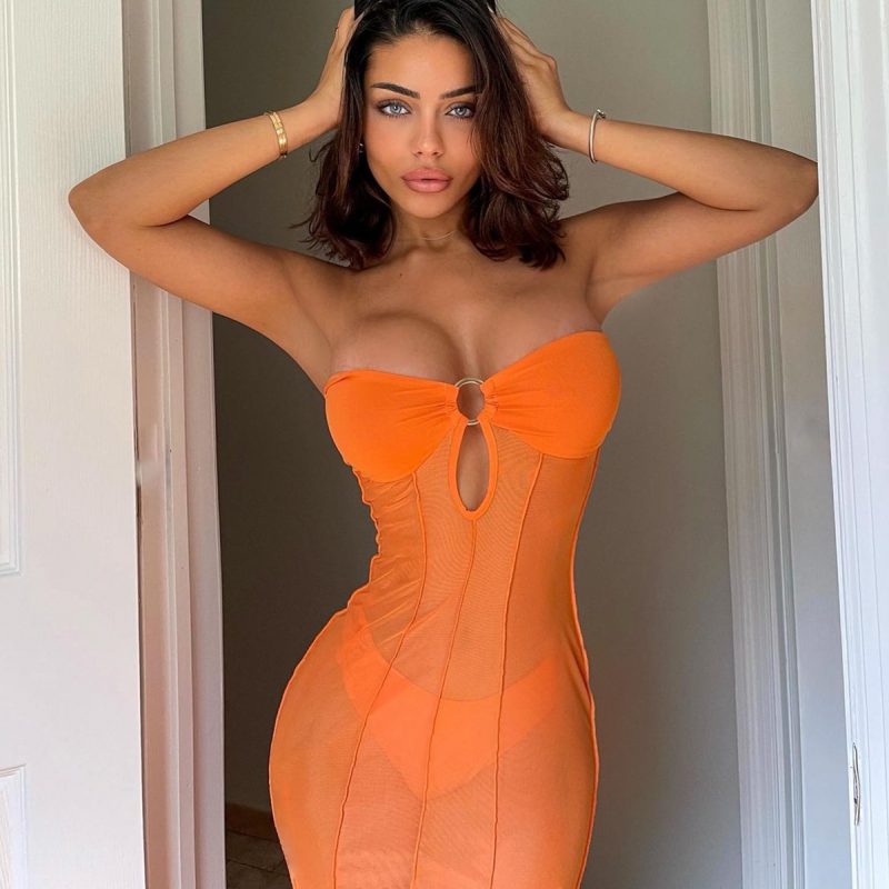 Off Neck Mesh See-through Slim Dress - Image 2