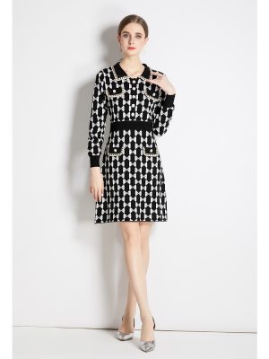 Women’s Spring/Fall Long Sleeve Printed Sweater A-Line Dress