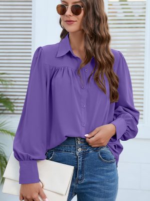 Spring/Autumn Chiffon Pleated Shirt: Women’s Top