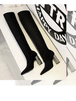 Over The Knee Pointed Top Stretch Boots