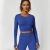 Lapis Lazuli Blue round Neck Long Sleeve