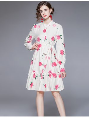 Women’s Spring/Fall Long Sleeve Elegant Printed A-Line Knee Dress