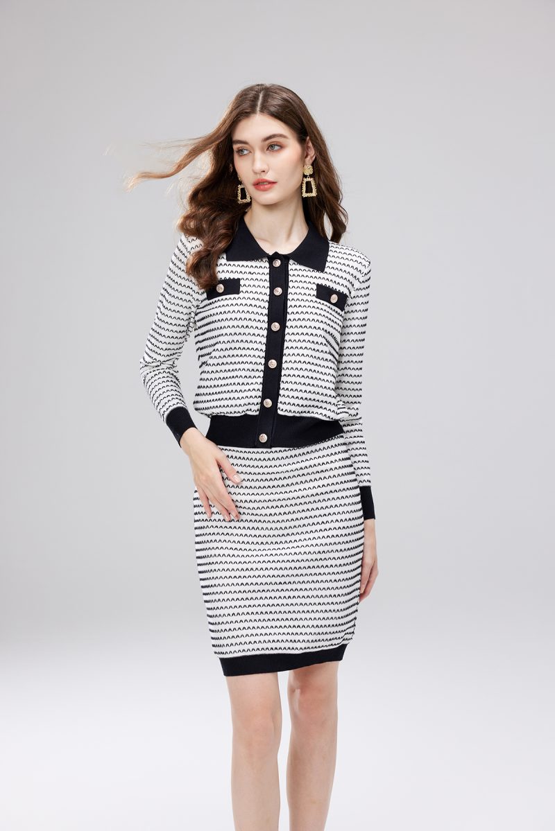 Women Spring and Autumn Single Button Cardigan Skirt Two Piece Set