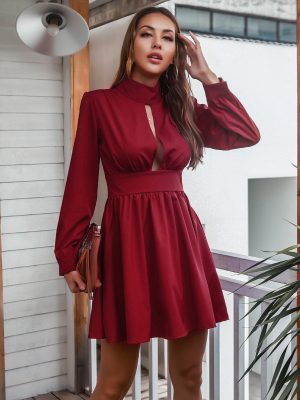 Turtleneck Long Sleeve Pleated Dress for Women – Fall Winter