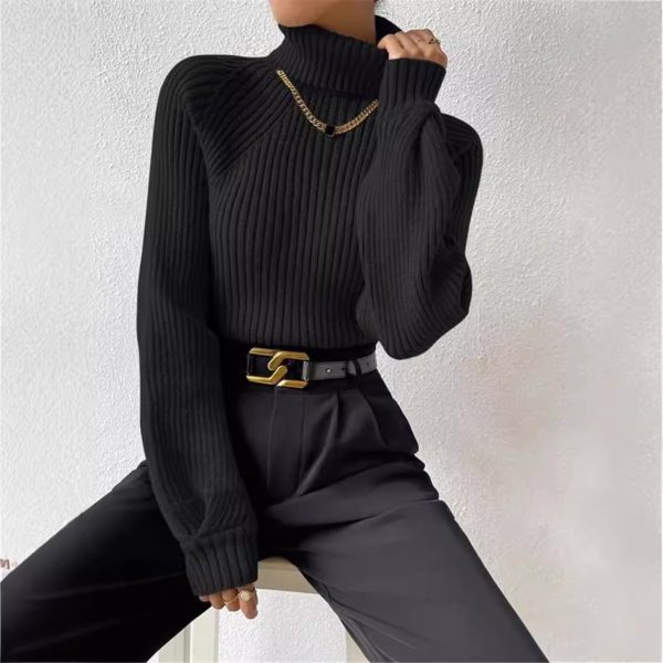 Slimming High Collar Raglan Sleeve Knitted Pullover – Autumn Winter Sweater for Women - Image 2