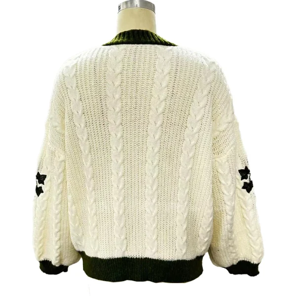 Evermore Cardigan Taylor Version Green Vine Embroidered Button Down Cable Knit Sweater - Image 6