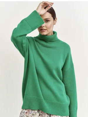 Chic Turtle Neck Autumn Winter Sweater Women Soft Warm Basic Knitted