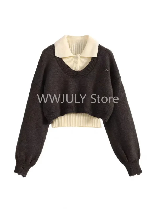 Women Korean Fashion Two Piece Sets Pullovers Design Sweater - Image 2