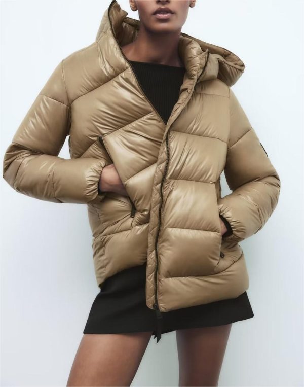 Winter Hooded Zipped Cotton Jacket